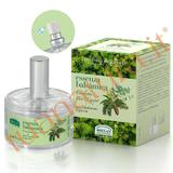 Essenza Balsamica - Fragranza per l'Ambiente 50 ml 